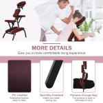 Bigacc Portable Massage Chair with Carry Case