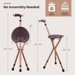 Folding Walking Stick Chair with Massage Feature