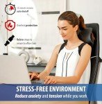 Zyllion 3D Shiatsu Neck and Back Massager