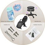 Adjustable LUXMARS Facial Massage Chair & Stool