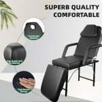 Portable Adjustable Massage Chair with Carry Case
