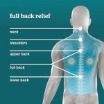 Homedics Shiatsu Back Massager with Heat and Controller