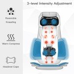 CLORIS 3D Shiatsu Neck and Back Massager