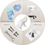 LUXMARS Adjustable Facial & Massage Chair - White