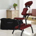 Dkelincs Folding Portable Massage Chair with Bag