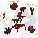 Dkelincs Folding Portable Massage Chair with Bag