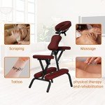 Dkelincs Folding Portable Massage Chair with Bag