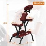 Dkelincs Folding Portable Massage Chair with Bag