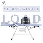 Adjustable Facial and Tattoo Chair with Stool