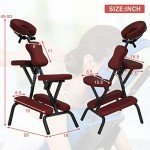 Portable Adjustable Massage Chair with Carry Bag