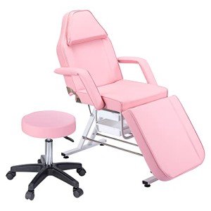 Jaxilyn Adjustable Tattoo Facial Massage Chair - Pink