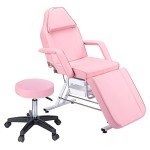 Jaxilyn Adjustable Tattoo Facial Massage Chair - Pink