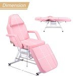 Jaxilyn Adjustable Tattoo Facial Massage Chair - Pink