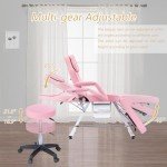 Jaxilyn Adjustable Tattoo Facial Massage Chair - Pink