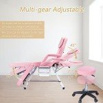 Jaxilyn Adjustable Tattoo Facial Massage Chair - Pink