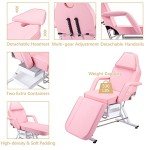 Jaxilyn Adjustable Tattoo Facial Massage Chair - Pink