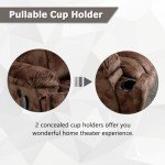 Phoenix Large Electric Lift Recliner with Massage & Heat