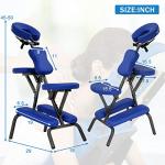 Haiput Wam Portable Foldable Massage Chair (Blue)