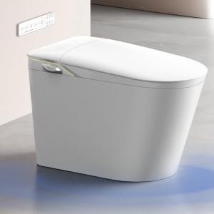 Smart Toilet Bidet with Automatic Features and Massage