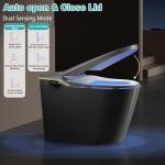 Smart Toilet Bidet with Automatic Features and Massage