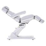 GreenLife® 4 Motor Electric Facial Massage Chair
