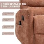 PELUMY Heat & Vibration Massage Recliner Chair