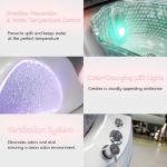 Spa Nail Equipment LLC Dolphin Pedicure Chair with Massage, Built-in Remote, Overflow Protection, Acetone-Resistant Leather