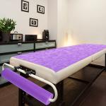 Buryeah 1 Roll 50 Pieces Disposable Non Woven Bed Sheets Massage Table Sheets Lash Bed Cover for Spa, Tattoo, Beauty Salon, Hotels, 32 x 71 Inch(Purple)