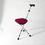 Folding Cane Seat 300 lbs Capacity Stool Adjustable Height Walking Stick for Elder Parents Gift (Silver)