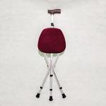 Folding Cane Seat 300 lbs Capacity Stool Adjustable Height Walking Stick for Elder Parents Gift (Silver)