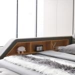 Gahowlen Modern Smart Bed with Massage Recliner