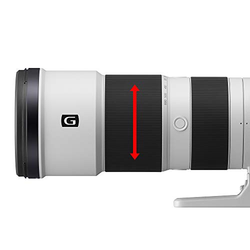 Sony 200-600mm G OSS Zoom Lens