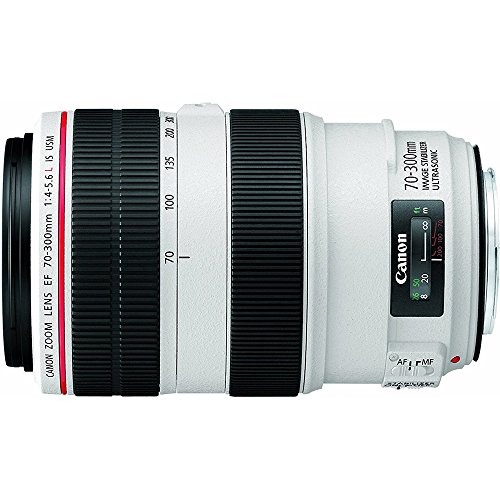 Canon Telephoto Zoom Lens for EOS Cameras