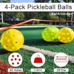 Pickleball Set with Net, Balls, and Carry Bag