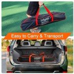 Pickleball Set with Net, Balls, and Carry Bag