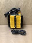 Delta-Q Technologies Golf Cart Charger for Yamaha