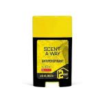 Hunters Specialties Odorless Home Care Kit