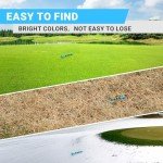 100-Pack Blue 3-1/4" Plastic Golf Tees