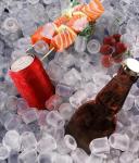 ecozy Portable Ice Maker - 9 Cubes in 6 Minutes