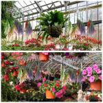 Tobeelec 4 Pcs Hanging Drying Rack for Herb Macrame Flower Drying Rack with 30 Stainless Clip Herb Dryer Hooks for Drying Herb Air Plants Spices Flowers Hydroponic Plants