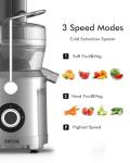 1300W Centrifugal Juicer, 3.2" Wide Chute, High-Yield Juice Extractor, Copper Motor, 3-Speed, Easy Clean, Non-BPA