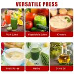 2.38 Gallon Fruit Wine Press - Heavy-duty Stainless Steel Cider Press with T-Handle & Swing Cross Beam for Apple, Grape, Home Brewing Juice Making