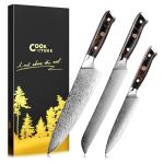 Damascus Chef Knife 3pcs, Professional Japanese Kitchen Knife with High Carbon Steel Core, Ergonomic Resin Handle, Leather Sheath & Luxury Gift Box - Ideal Gift for Men Women