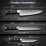 Damascus Chef Knife 3pcs, Professional Japanese Kitchen Knife with High Carbon Steel Core, Ergonomic Resin Handle, Leather Sheath & Luxury Gift Box - Ideal Gift for Men Women