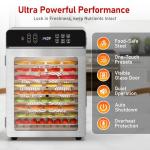 Food Dehydrator with 10 Stainless Steel Trays, 800W Fruit Dehydrator Machine with 24H Digital Timer & 194℉ Temperature Control, 4 Presets Menu Meat Dehydrator for Jerky, Herb, Mushroom, Beef