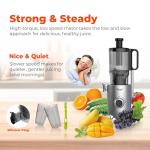 Rosewill Cold Press Juicer, 4.72" Wide Feed Chute Juice Extractor Machine, High Juice Yield, Slow Masticating Juicer for Whole Vegetables & Fruits