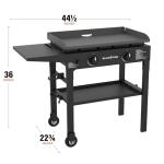 Blackstone 2-Burner Flat Top Gas Griddle 28