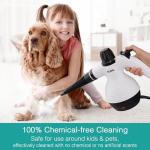 Handheld Steam Cleaner, Steamer for Cleaning, Multipurpose Portable Steam Cleaners for Home Use with Safety Lock and 10 Accessory Kit to Remove Grime, Grease, and More