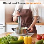KOIOS 5-in-1 Immersion Blender with Variable Speed
