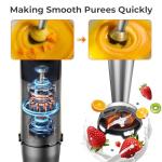 KOIOS 5-in-1 Immersion Blender with Variable Speed